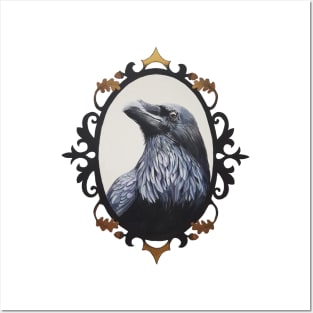 Raven - bird portrait Posters and Art